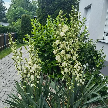 Eichbachgasse 38 Грац