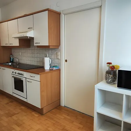 Eichbachgasse 38 公寓 格拉茨