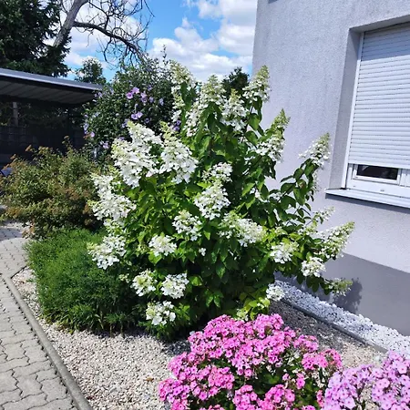 Apartment Eichbachgasse 38