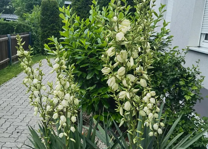 Eichbachgasse 38 Грац